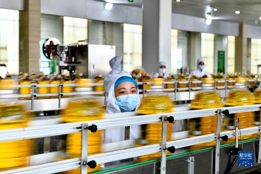 赌注什么好玩一点